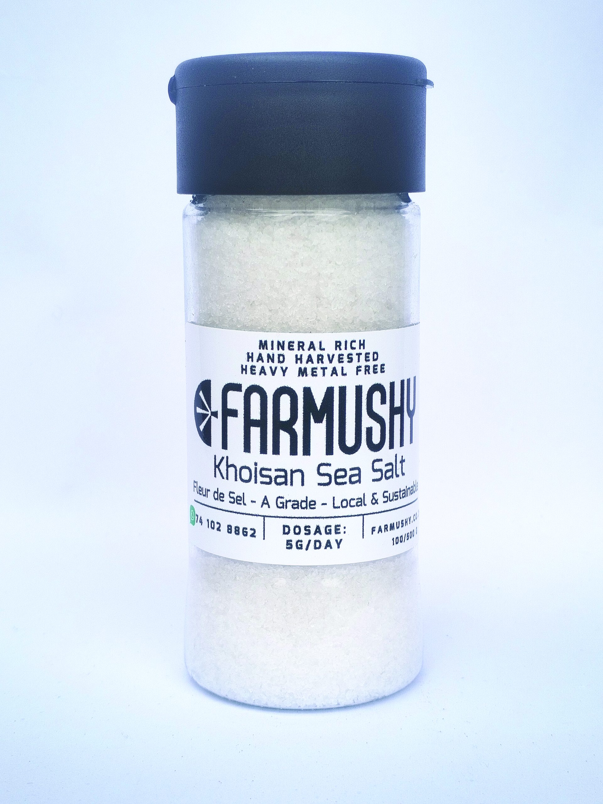 Khoi Salt Shaker